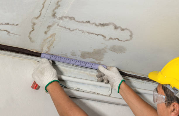 Reliable Mold Remediation contractor in Alvarado, TX by Water Damage Irwin